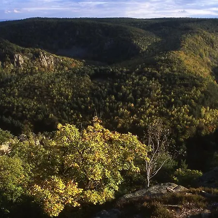 Affittacamere U Mispule